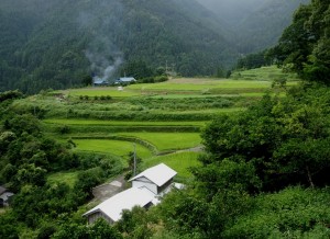 棚田を残す八重地の景観