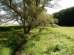 西下ケ橋の小川s